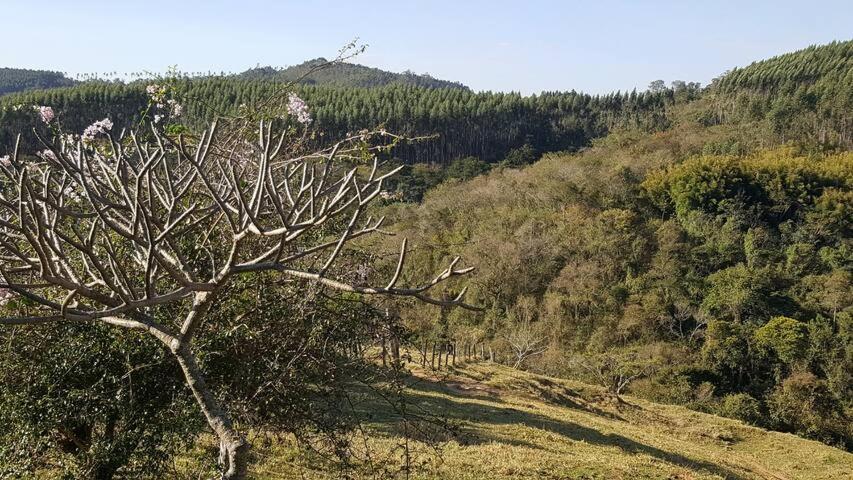 Sitio Alvorada - Paraiso Localizado No Circuito Das Aguas Paulista Amparo  Luaran gambar